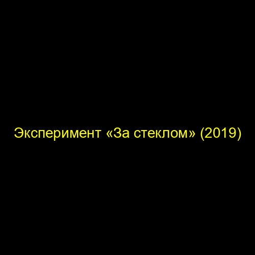 Эксперимент «За стеклом» (2019)