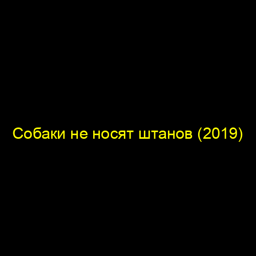 Собаки не носят штанов (2019)