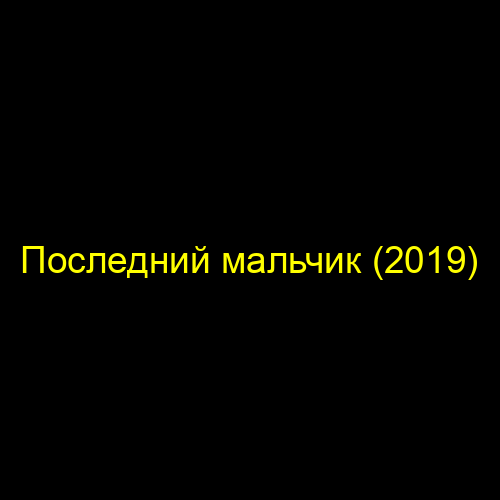 Последний мальчик (2019)