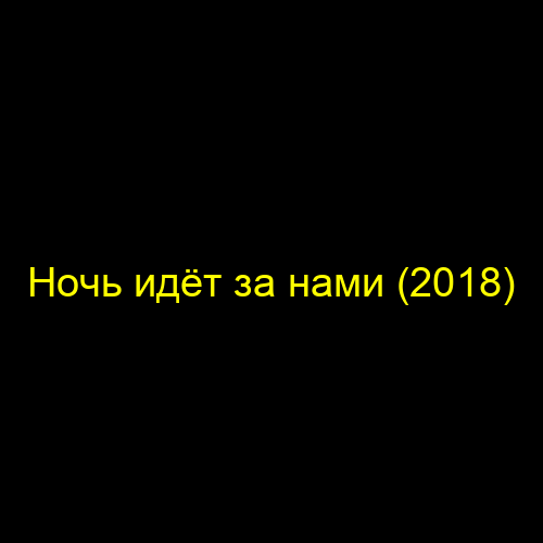 Ночь идёт за нами (2018)