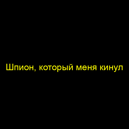 Шпион, который меня кинул