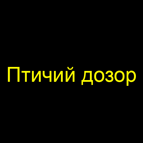 Птичий дозор