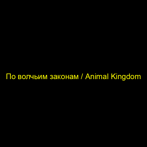 По волчьим законам / Animal Kingdom