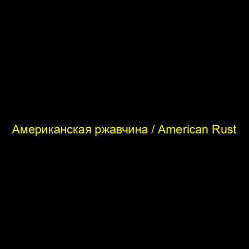 Американская ржавчина / American Rust