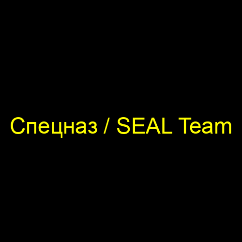 Спецназ / SEAL Team