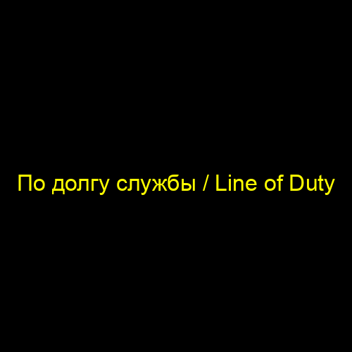 По долгу службы / Line of Duty