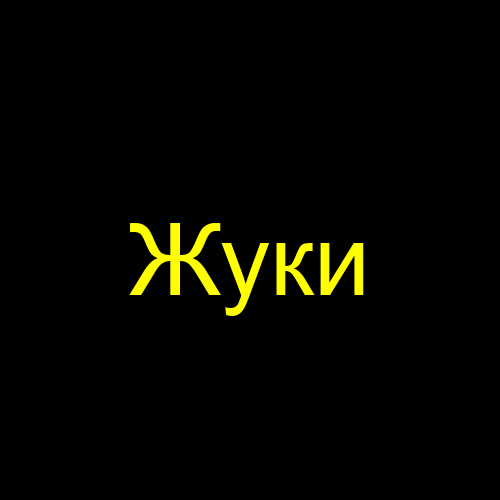 Жуки