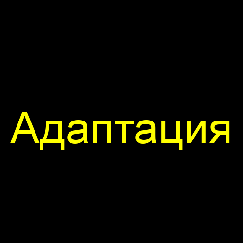 Адаптация