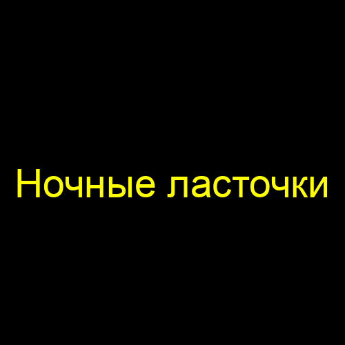Ночные ласточки