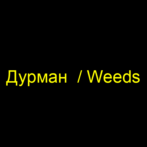 Дурман  / Weeds