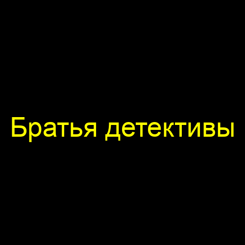 Братья детективы