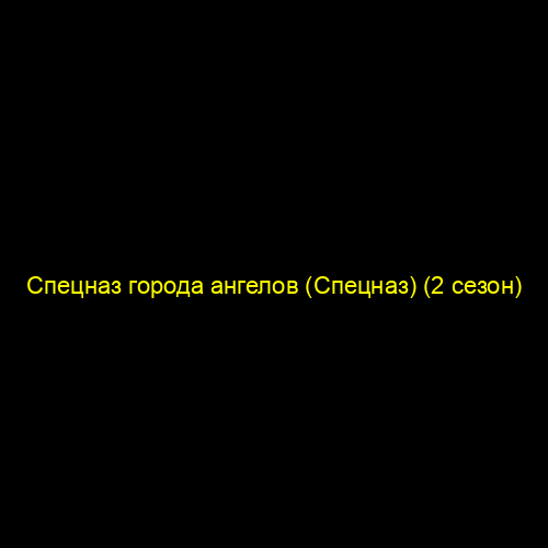 Спецназ города ангелов (Спецназ) (2 сезон)