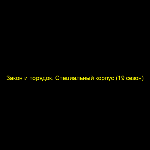 Закон и порядок. Специальный корпус (19 сезон)