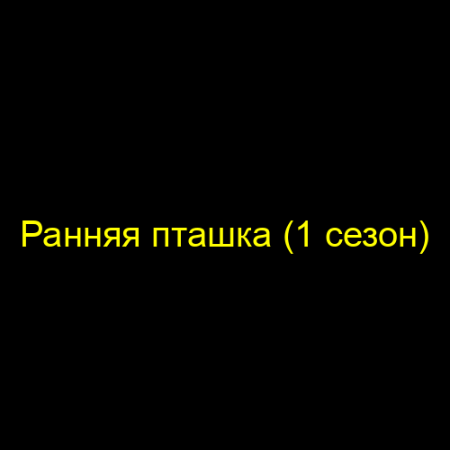 Ранняя пташка (1 сезон)